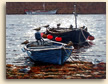 Painting of Boats and Gulls at Mousehole in Cornwall