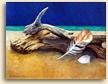 Painting of Still Life with Driftwood in Cornwall