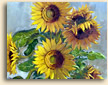 Sunflowers in a Vase